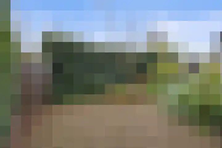 Roijenborg 19 Berlicum thumbnail 39