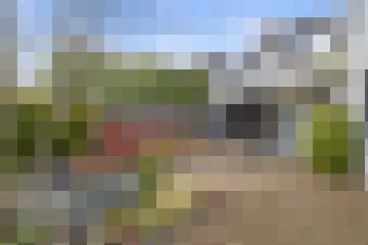 Roijenborg 19 Berlicum thumbnail 4