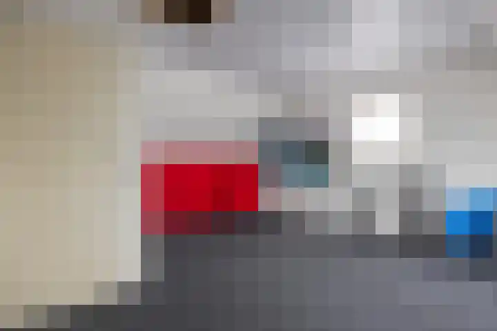 Roijenborg 19 Berlicum thumbnail 42