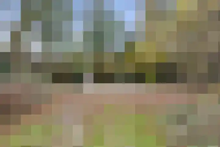 Roijenborg 19 Berlicum thumbnail 46