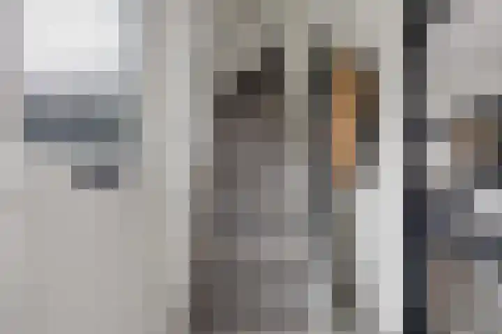Roijenborg 19 Berlicum thumbnail 6