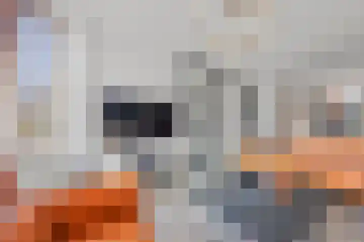 Roijenborg 19 Berlicum thumbnail 8