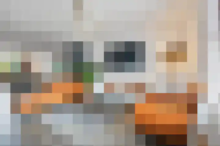 Roijenborg 19 Berlicum thumbnail 9