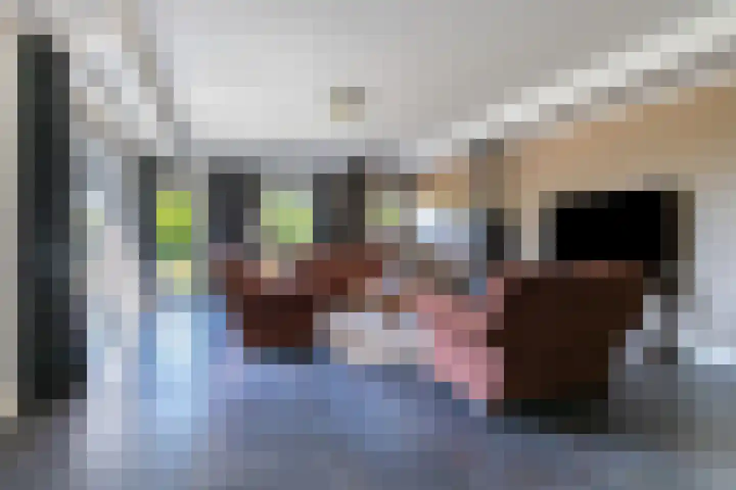 Roijendijk 2 Mill thumbnail 11