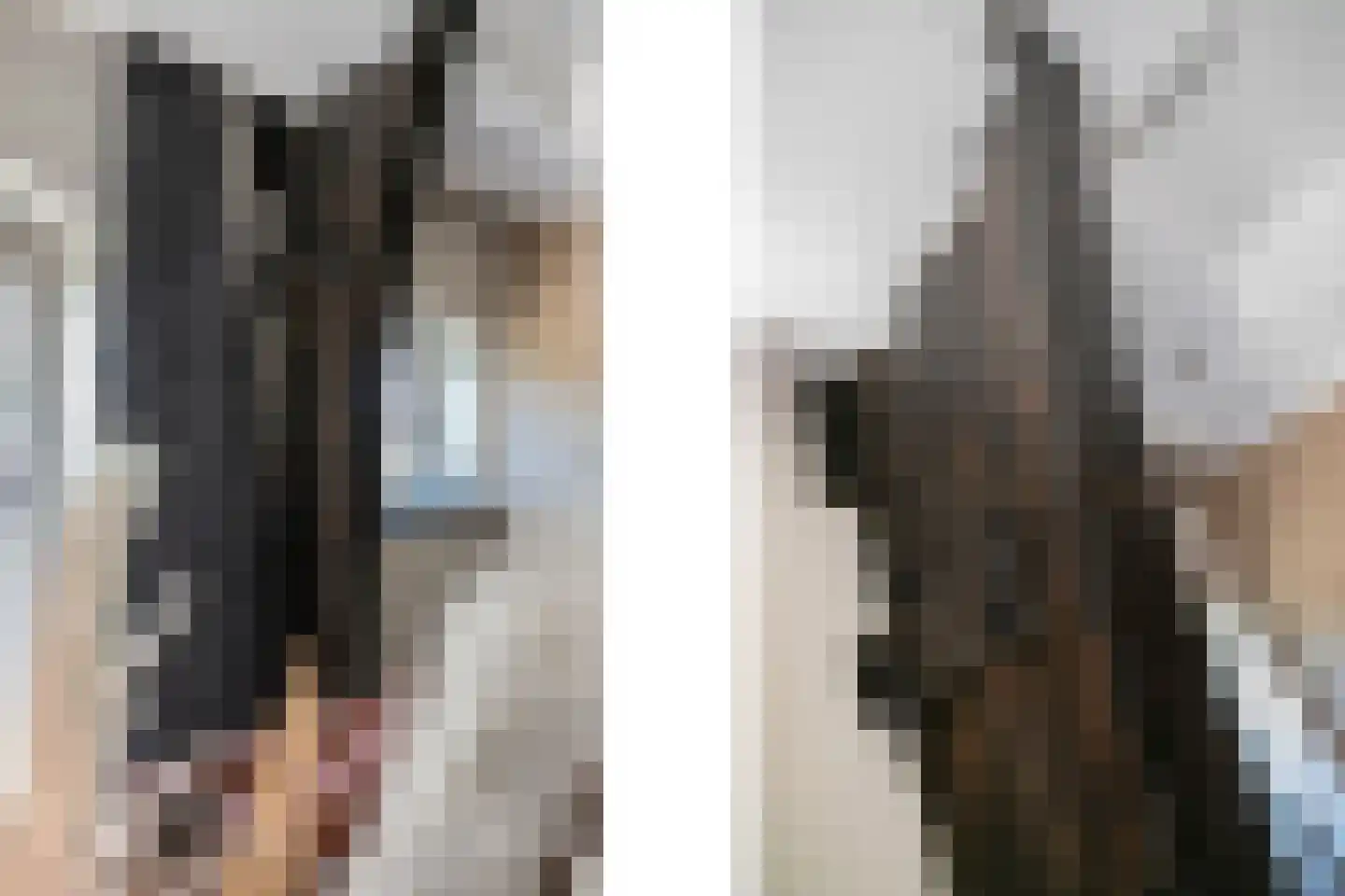Roijendijk 2 Mill thumbnail 12
