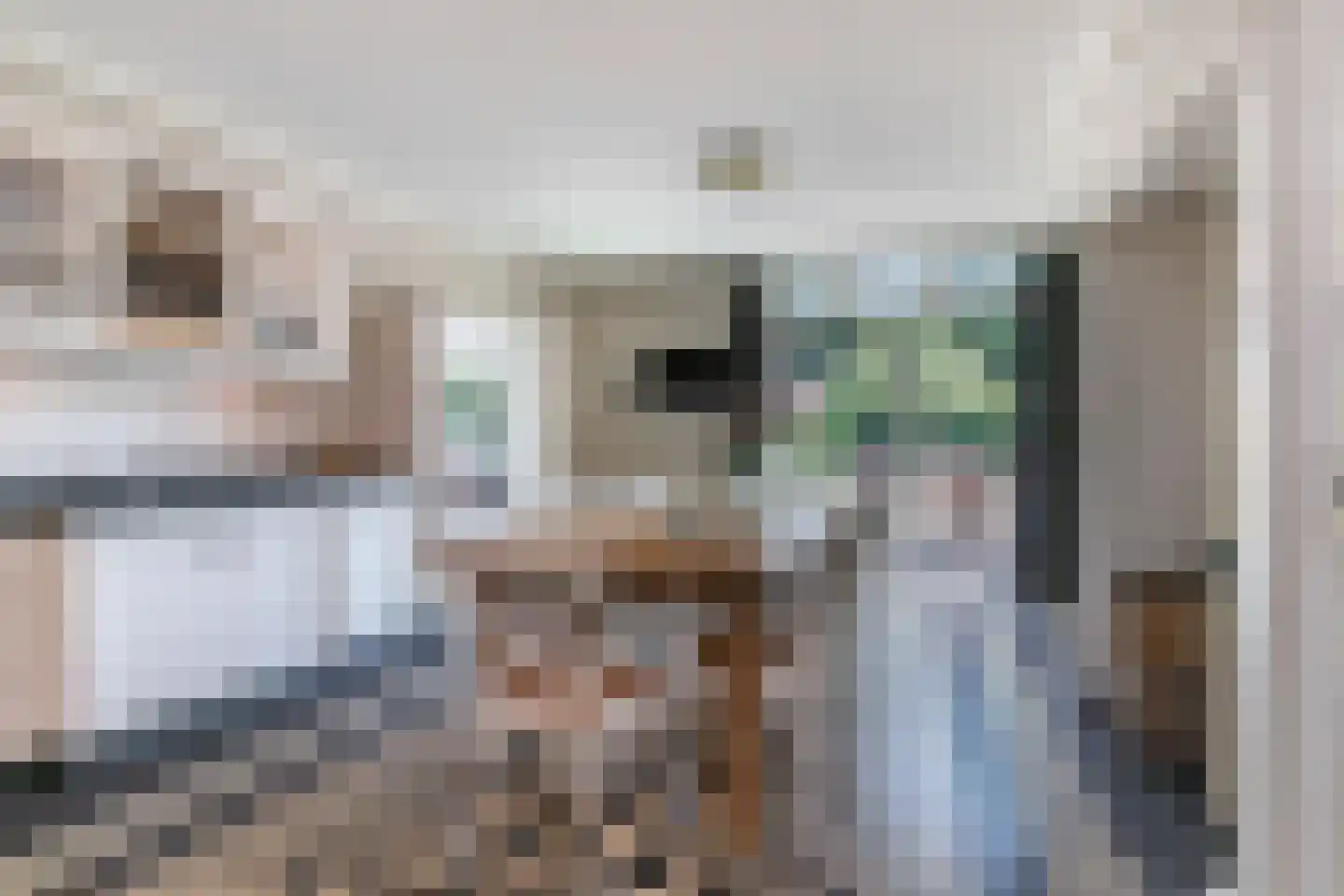 Roijendijk 2 Mill thumbnail 14