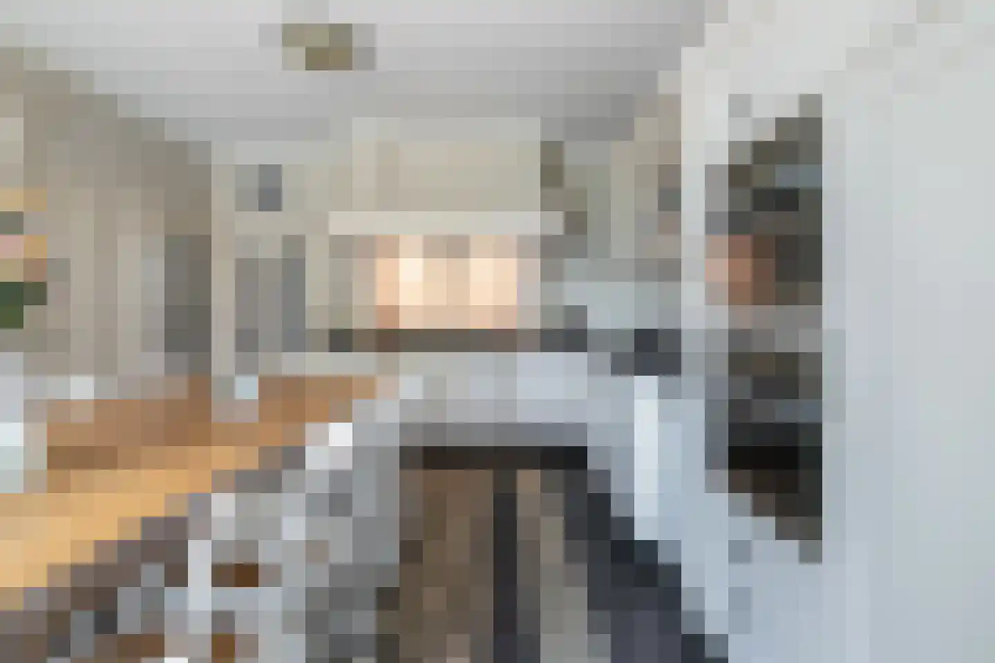 Roijendijk 2 Mill thumbnail 15
