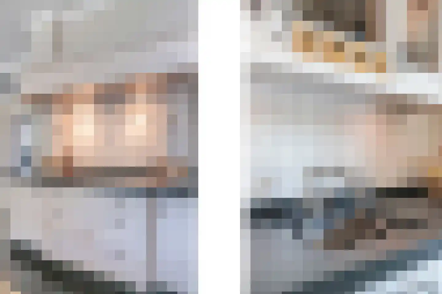 Roijendijk 2 Mill thumbnail 16
