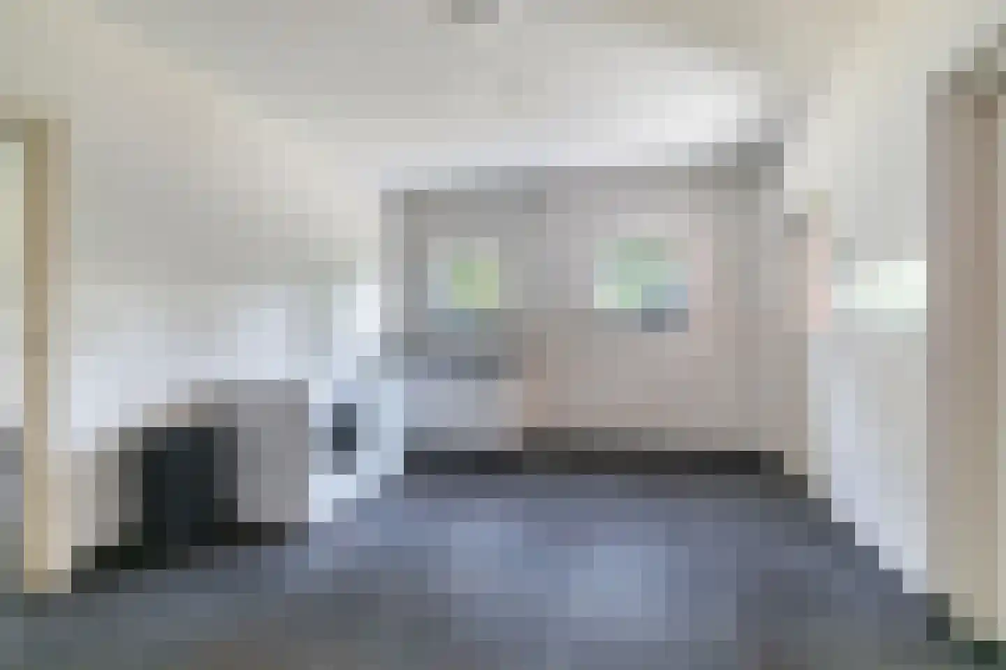Roijendijk 2 Mill thumbnail 18
