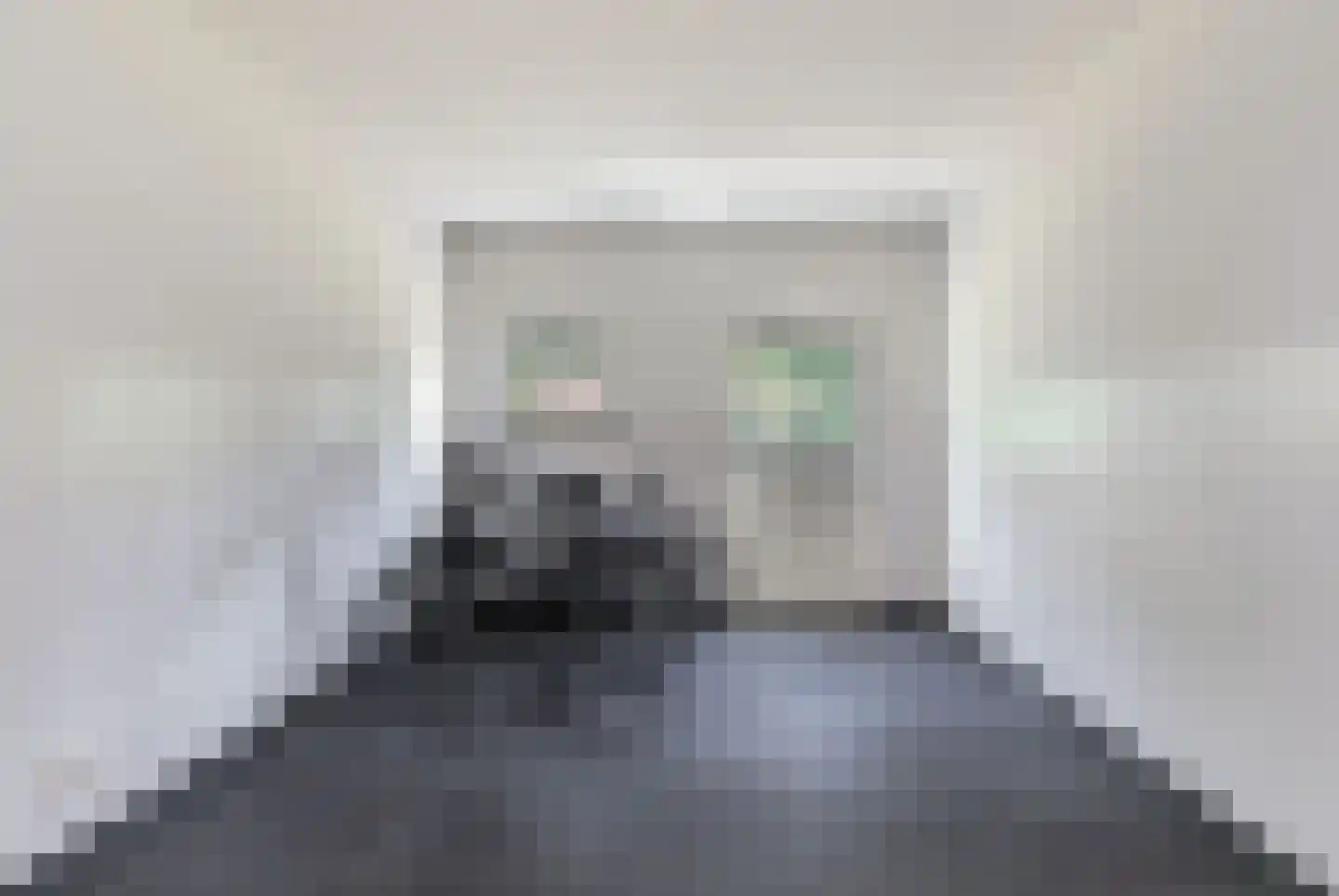 Roijendijk 2 Mill thumbnail 19