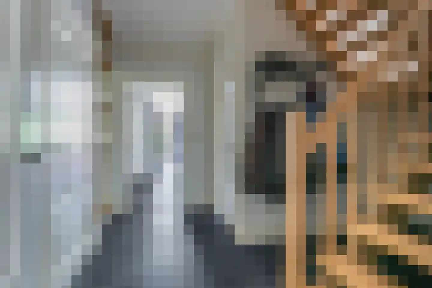 Roijendijk 2 Mill thumbnail 20