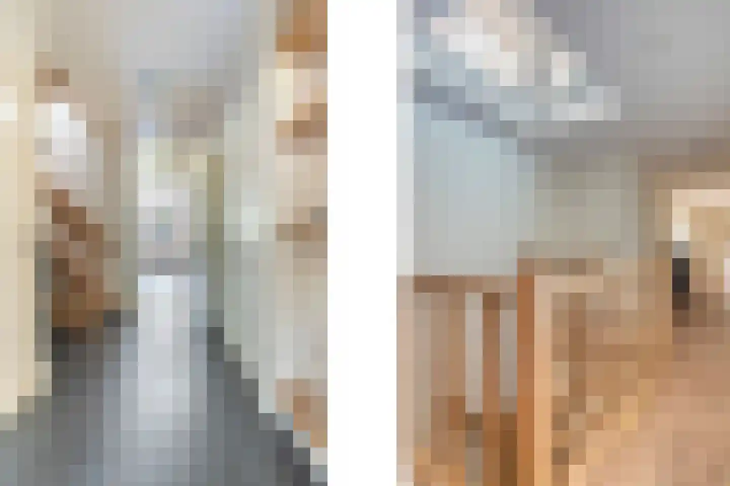 Roijendijk 2 Mill thumbnail 21