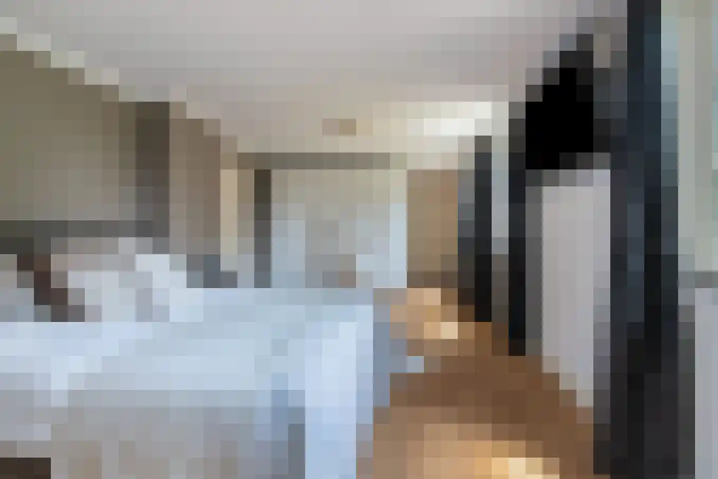 Roijendijk 2 Mill thumbnail 22