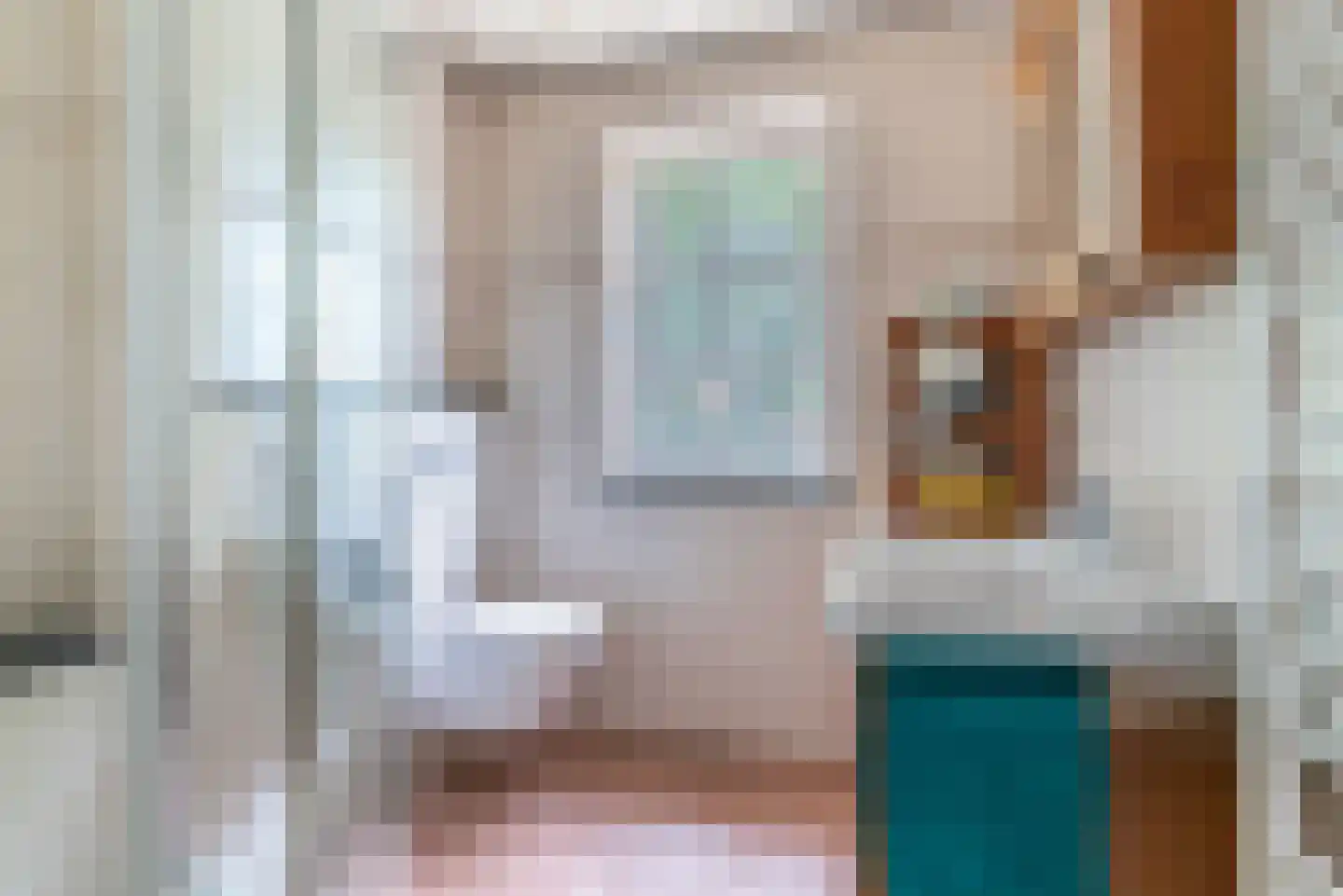 Roijendijk 2 Mill thumbnail 25