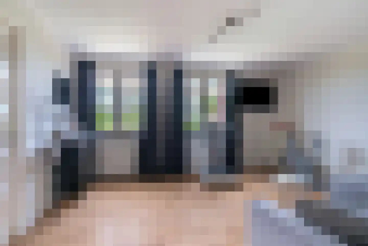 Roijendijk 2 Mill thumbnail 28