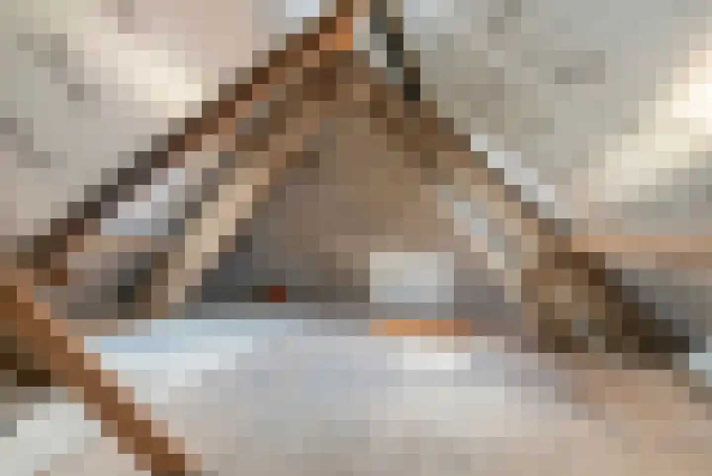Roijendijk 2 Mill thumbnail 29