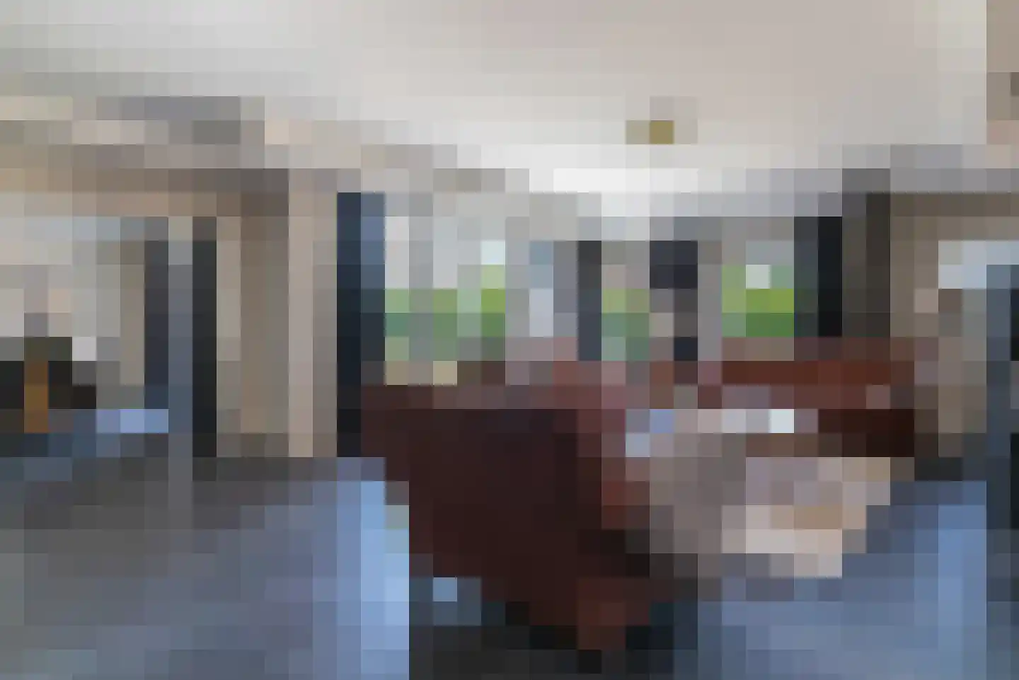 Roijendijk 2 Mill foto 3