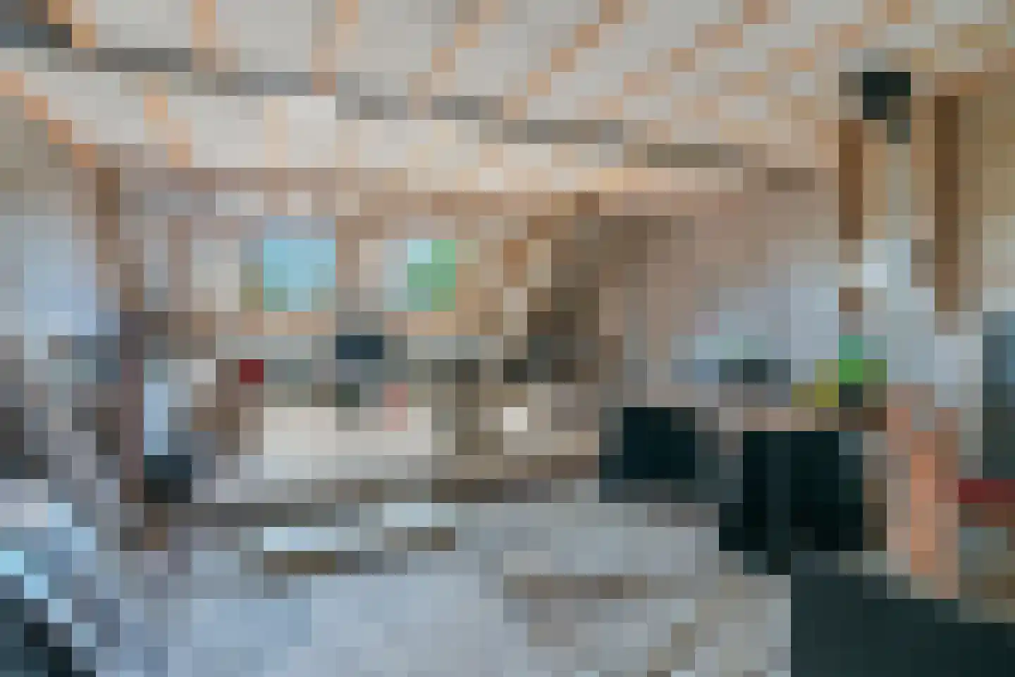 Roijendijk 2 Mill thumbnail 30