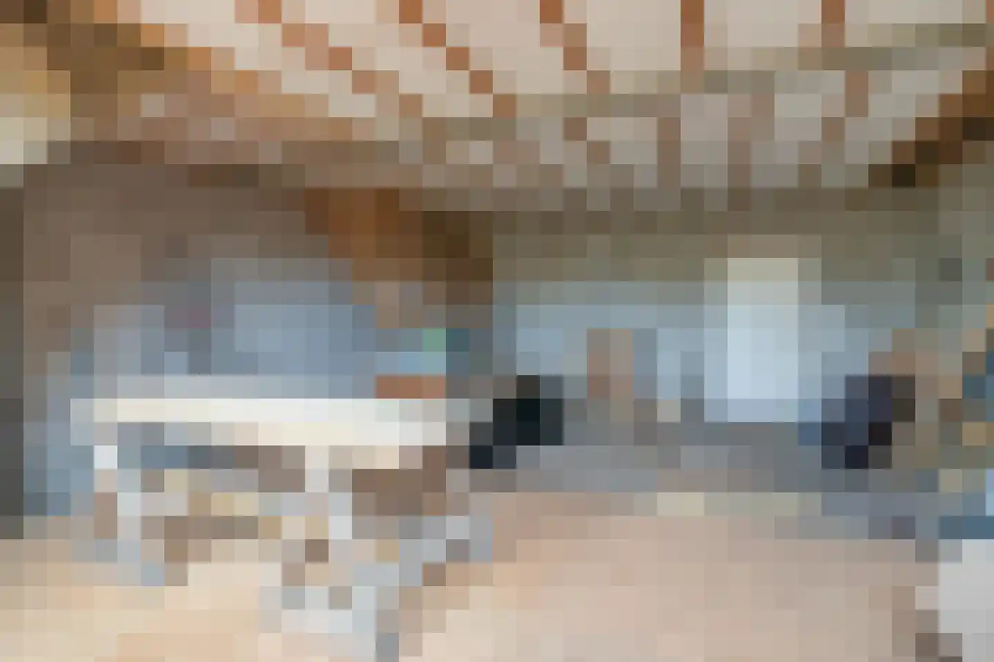 Roijendijk 2 Mill thumbnail 31
