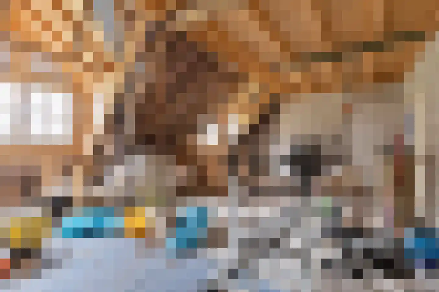 Roijendijk 2 Mill thumbnail 32