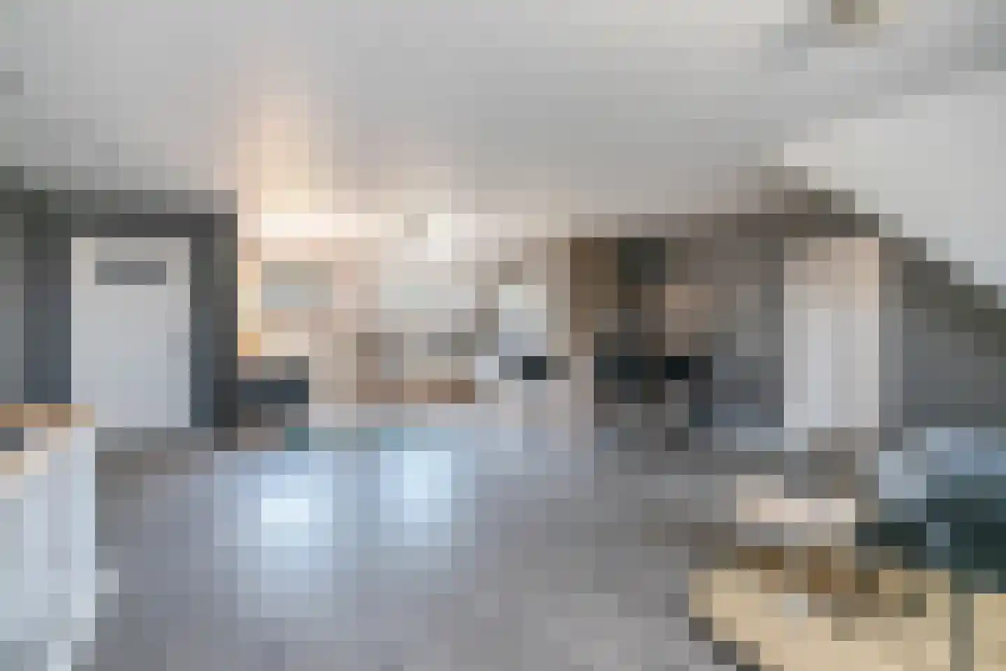 Roijendijk 2 Mill thumbnail 34