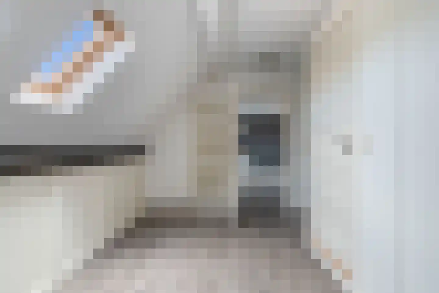 Roijendijk 2 Mill thumbnail 35