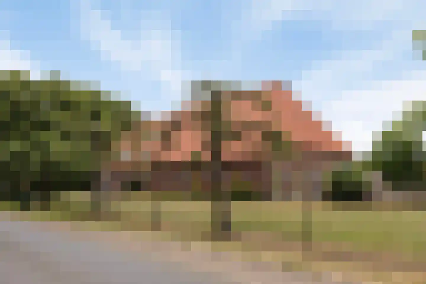 Roijendijk 2 Mill thumbnail 4