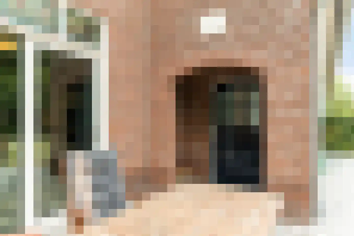 Roijendijk 2 Mill thumbnail 41