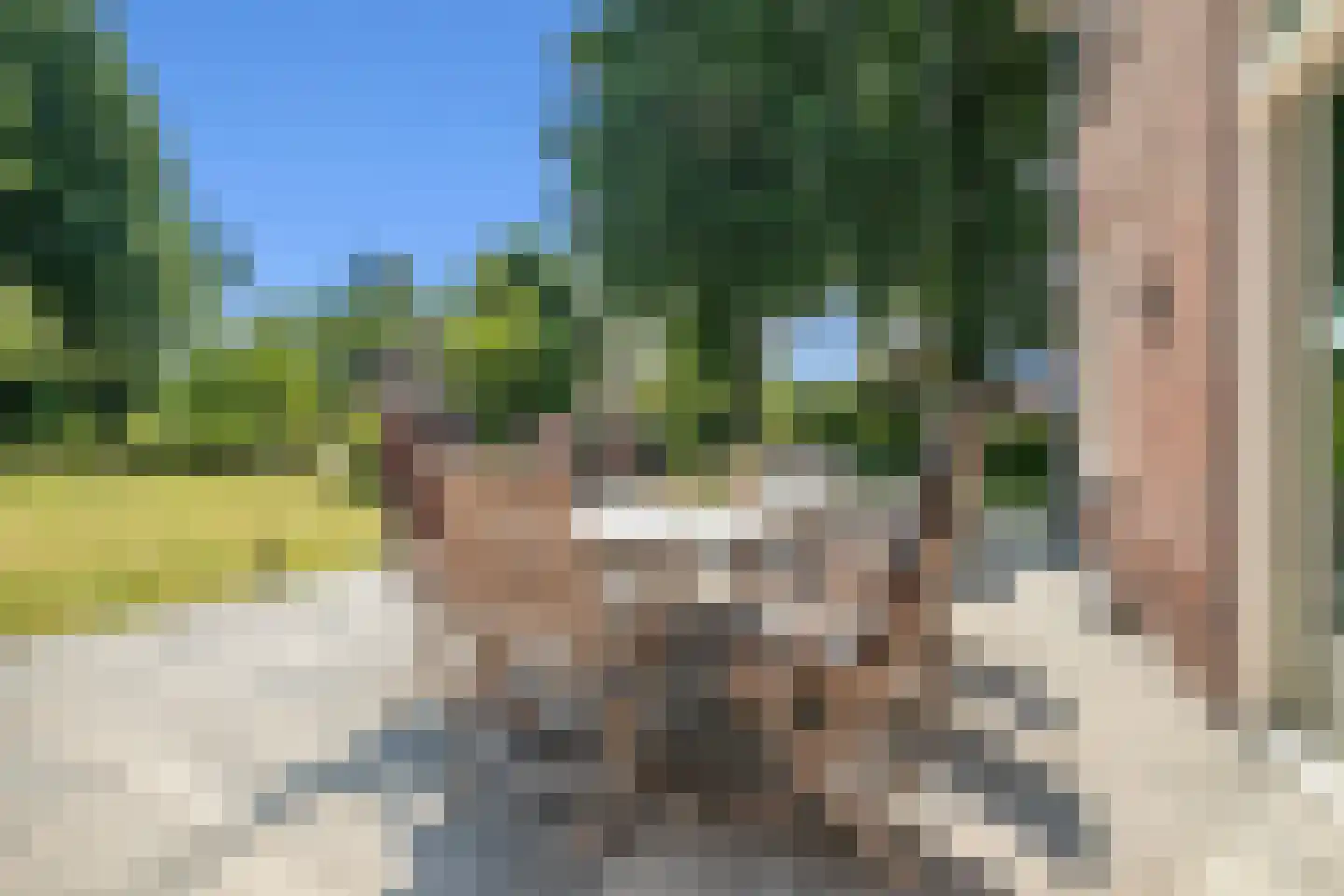 Roijendijk 2 Mill thumbnail 42