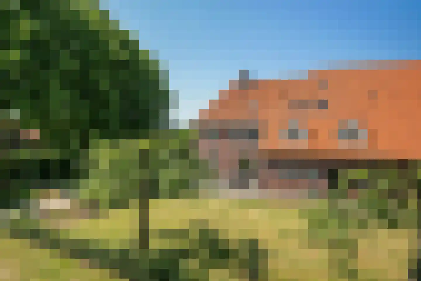 Roijendijk 2 Mill thumbnail 43