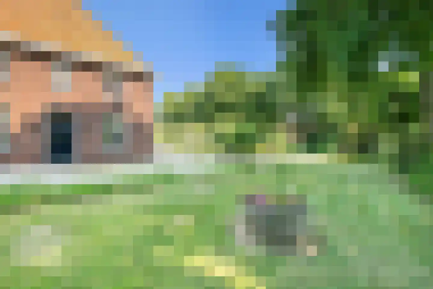 Roijendijk 2 Mill thumbnail 44