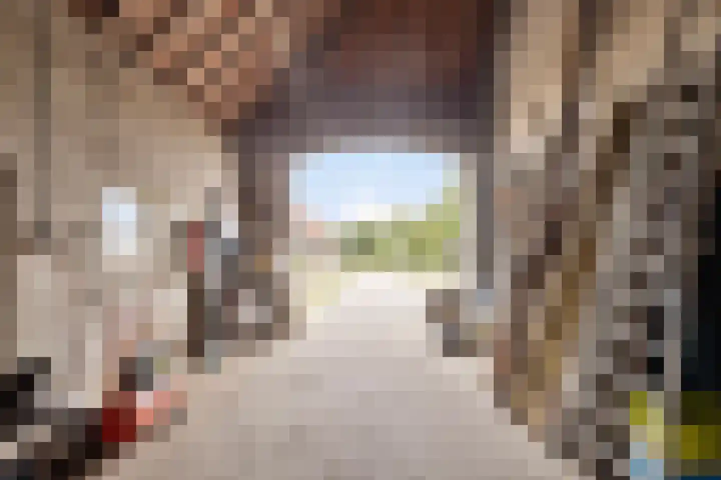 Roijendijk 2 Mill thumbnail 48