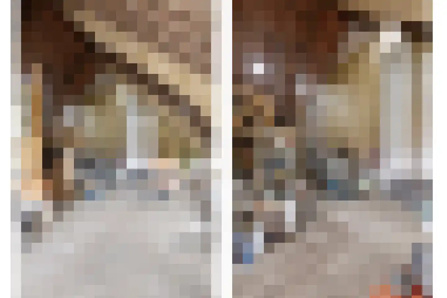 Roijendijk 2 Mill thumbnail 49