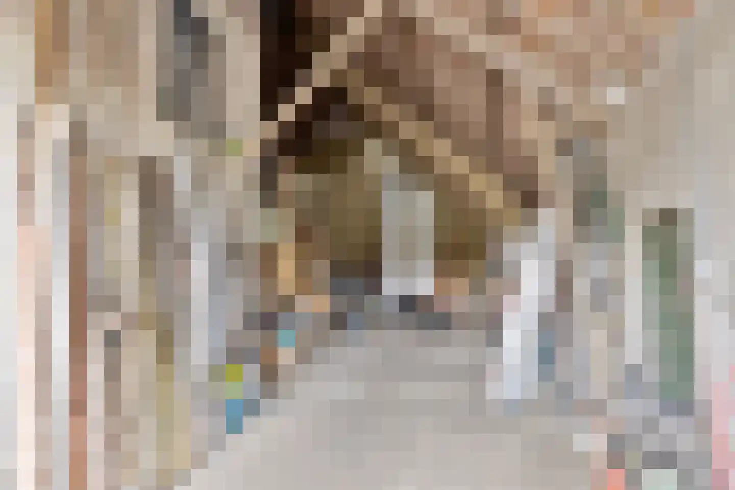 Roijendijk 2 Mill thumbnail 50