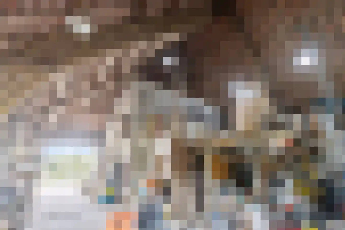 Roijendijk 2 Mill thumbnail 51
