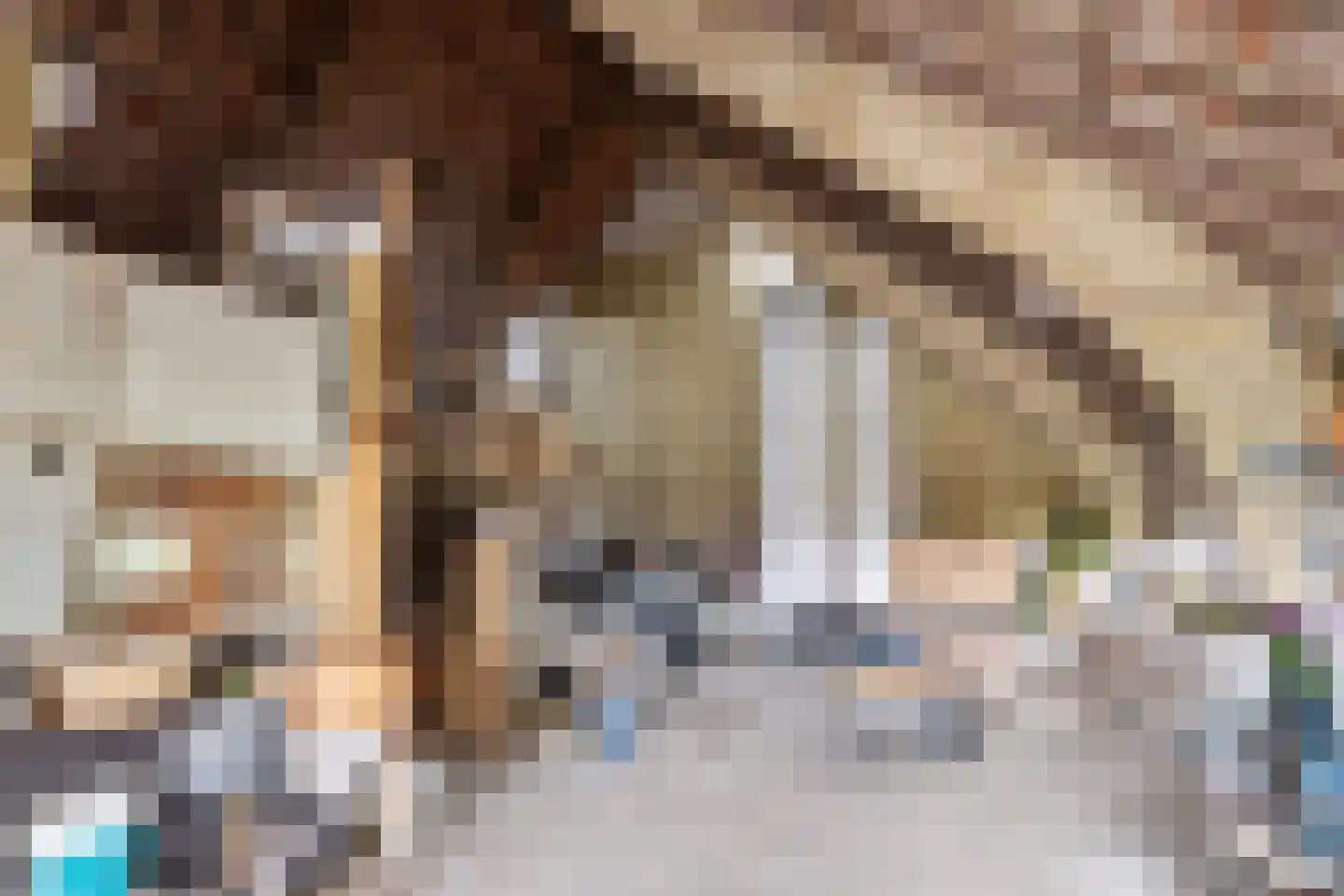 Roijendijk 2 Mill thumbnail 52