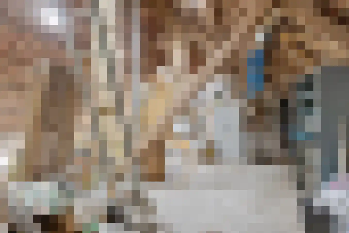 Roijendijk 2 Mill thumbnail 53