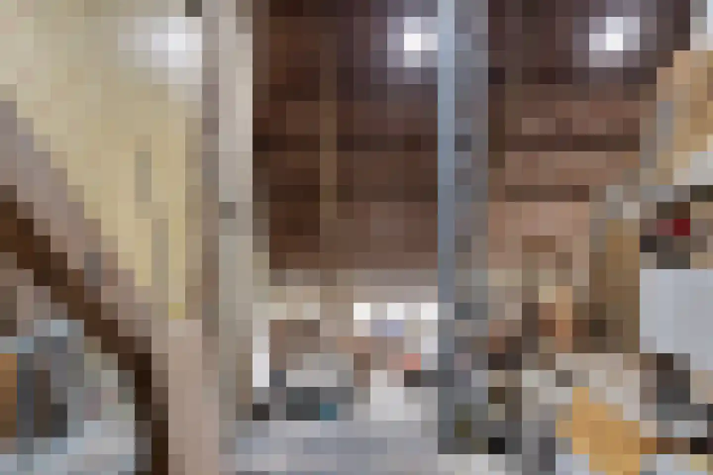 Roijendijk 2 Mill thumbnail 54