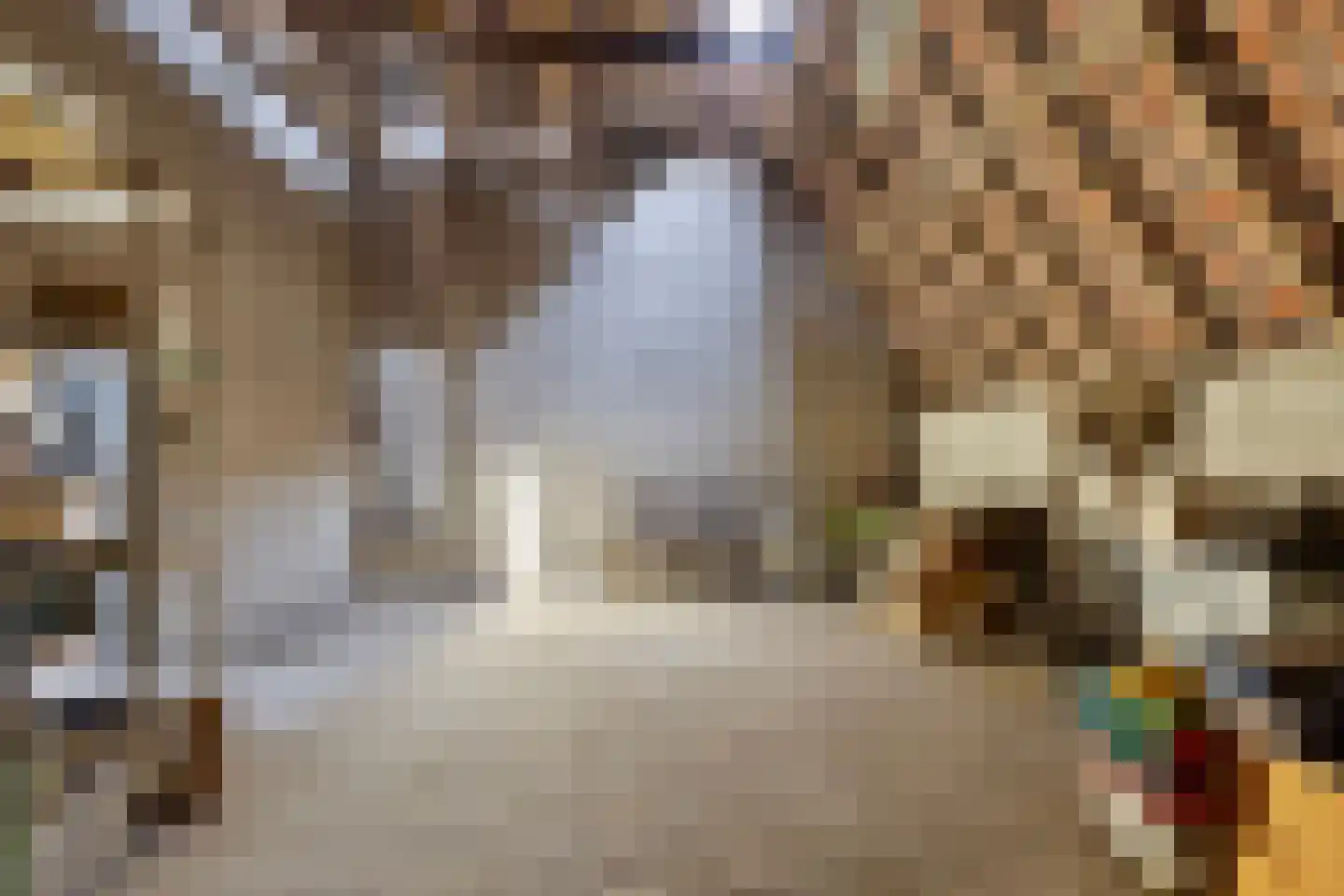 Roijendijk 2 Mill thumbnail 57
