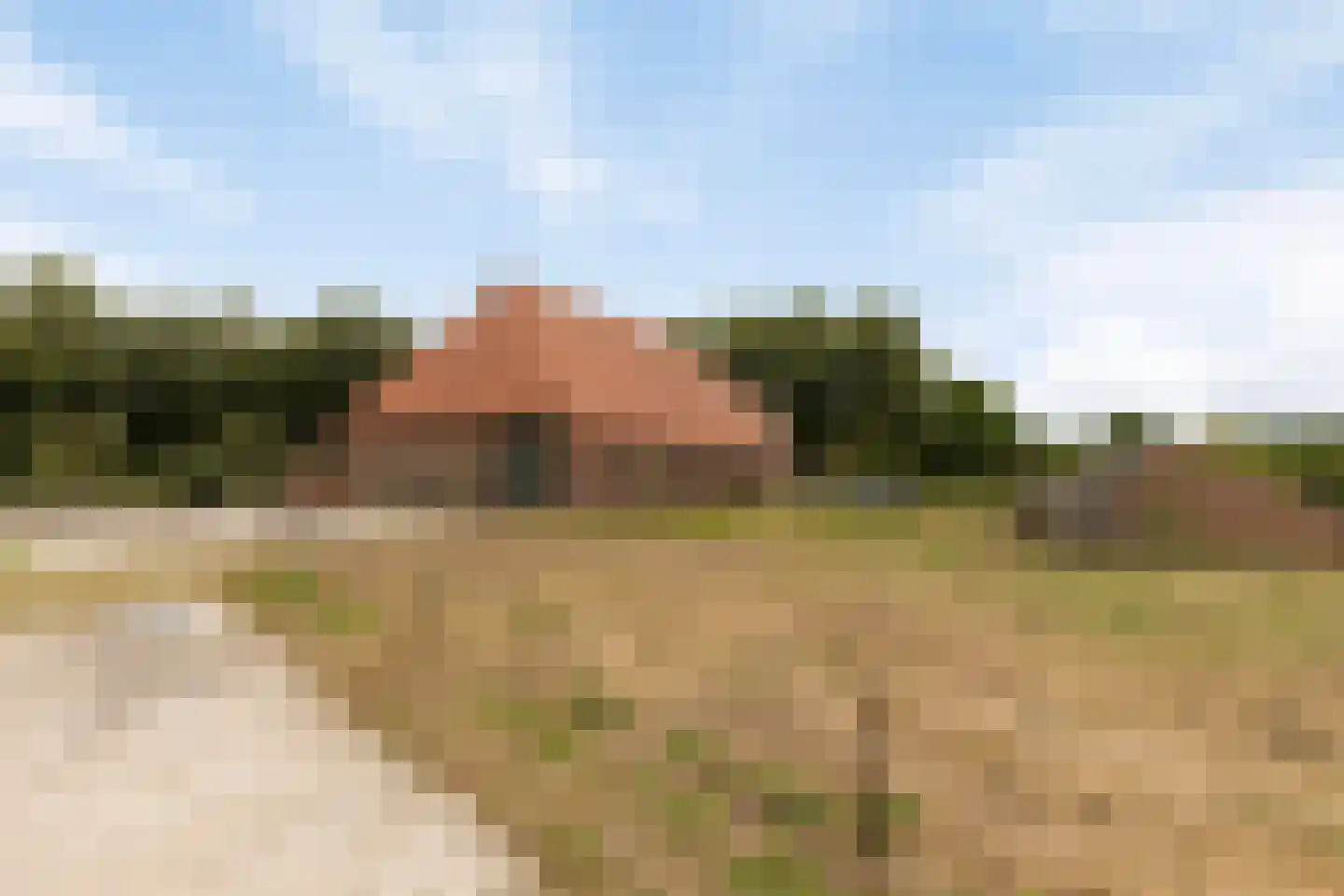 Roijendijk 2 Mill thumbnail 59