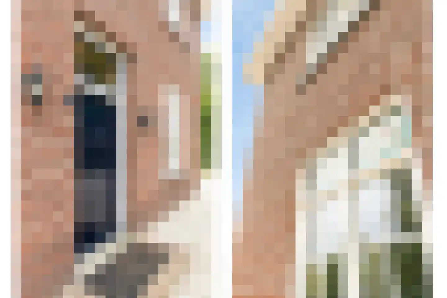 Roijendijk 2 Mill thumbnail 6