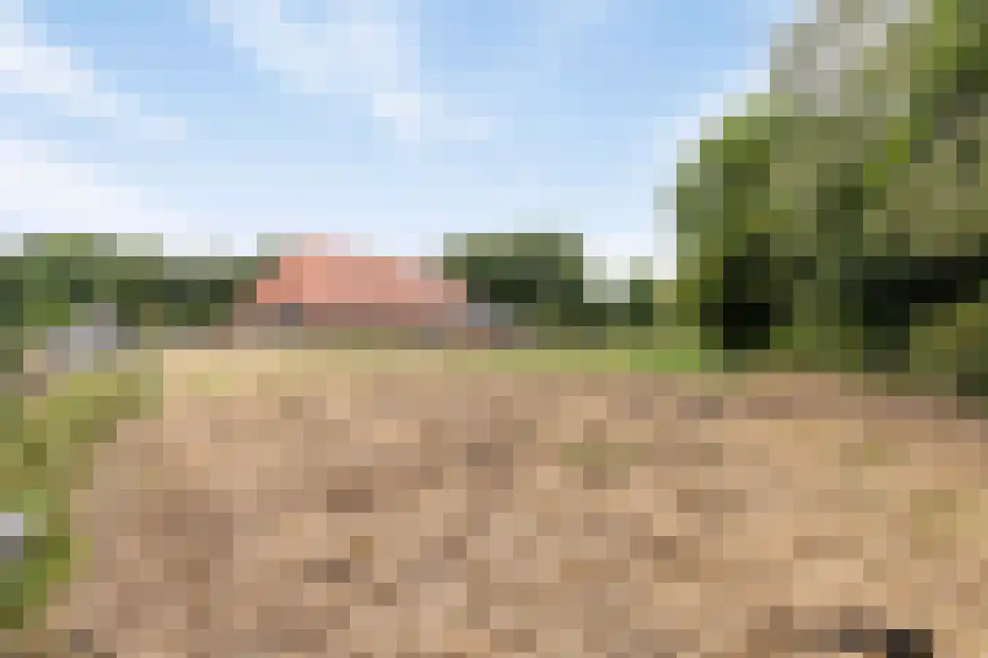 Roijendijk 2 Mill thumbnail 60