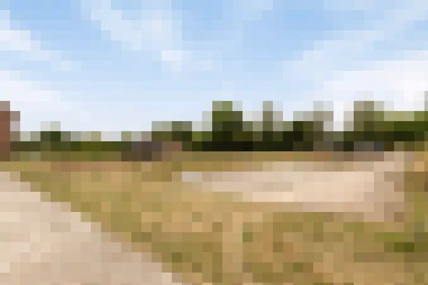 Roijendijk 2 Mill thumbnail 61