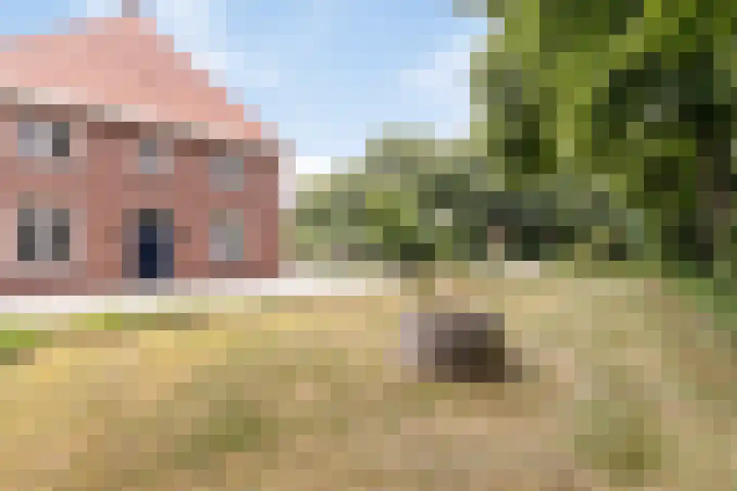 Roijendijk 2 Mill thumbnail 64