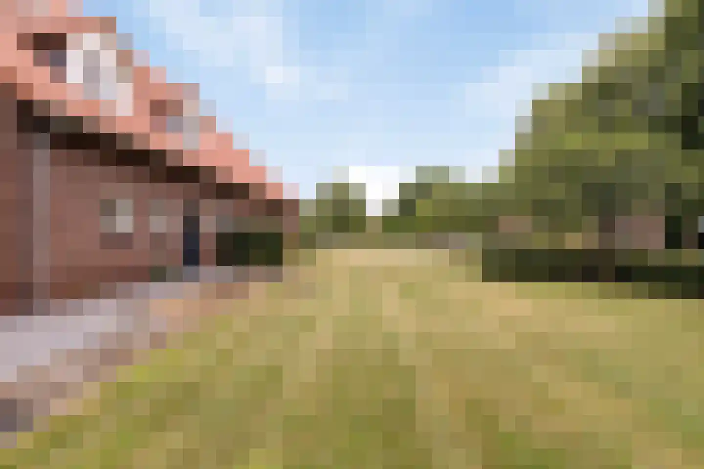 Roijendijk 2 Mill thumbnail 66