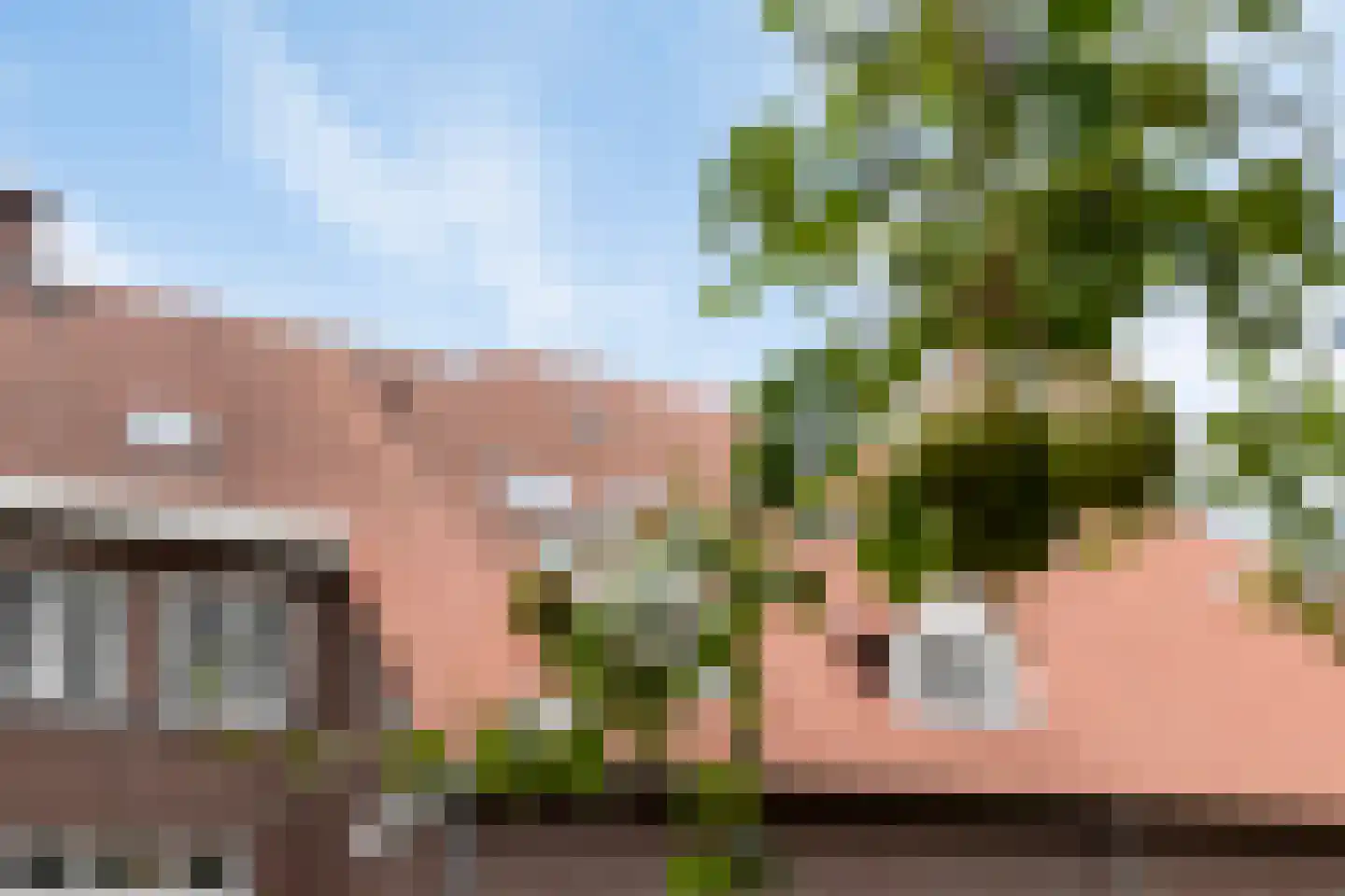 Roijendijk 2 Mill thumbnail 67