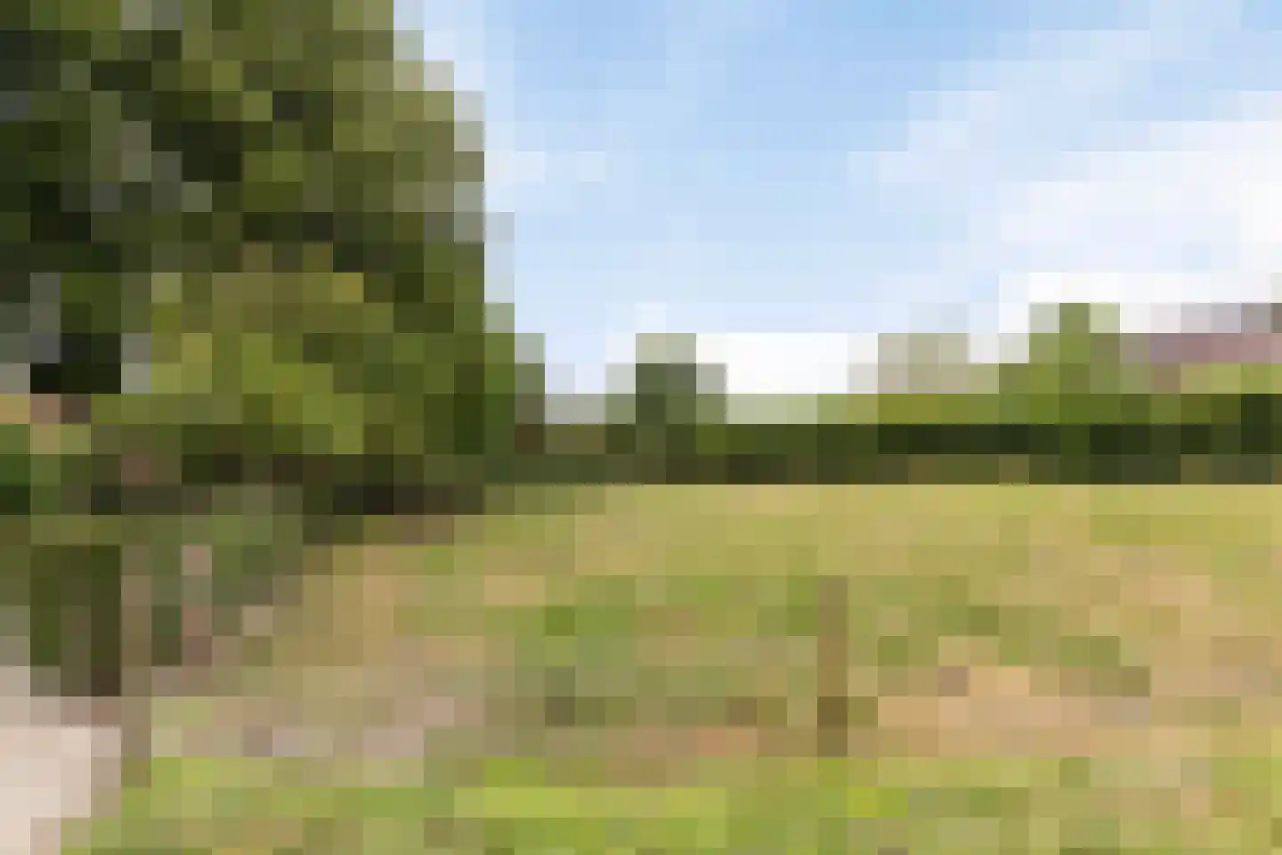 Roijendijk 2 Mill thumbnail 71
