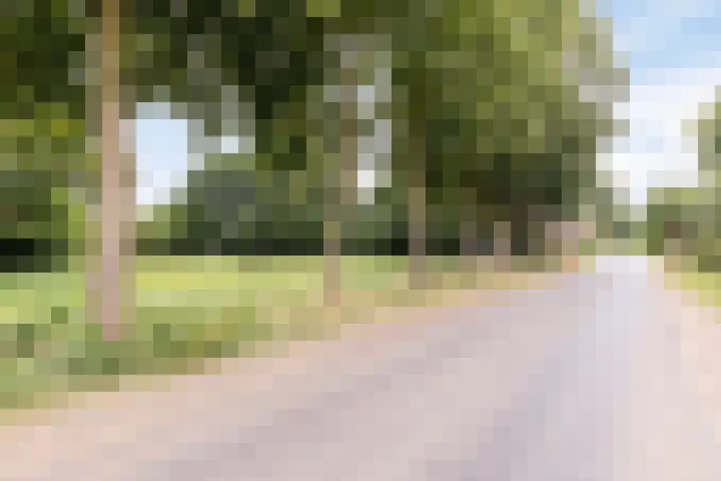 Roijendijk 2 Mill thumbnail 72