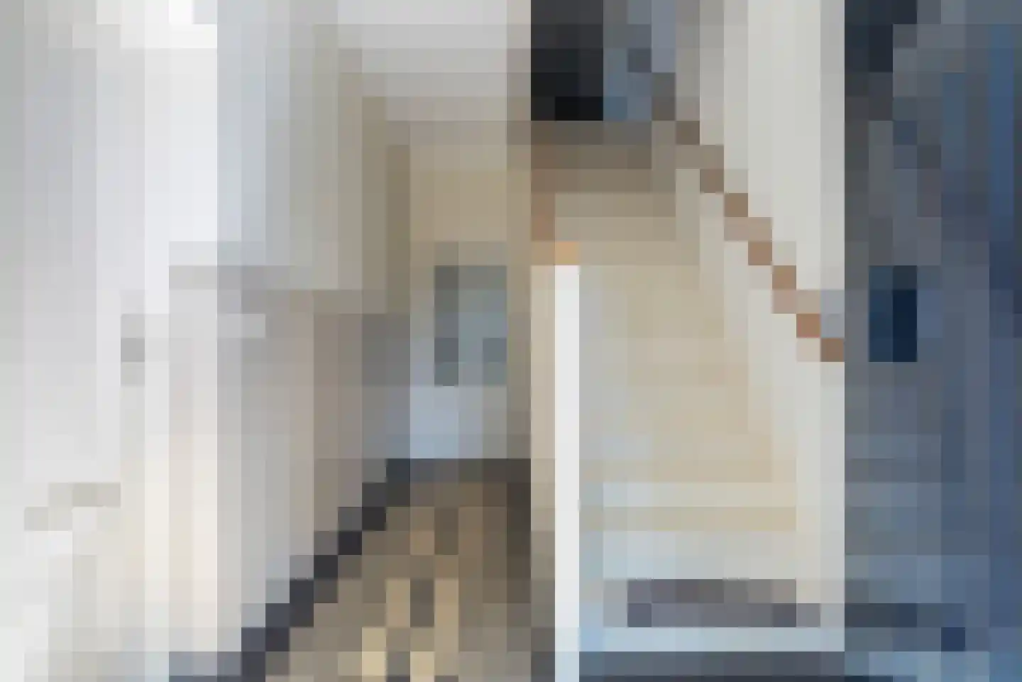 Roijendijk 2 Mill thumbnail 8