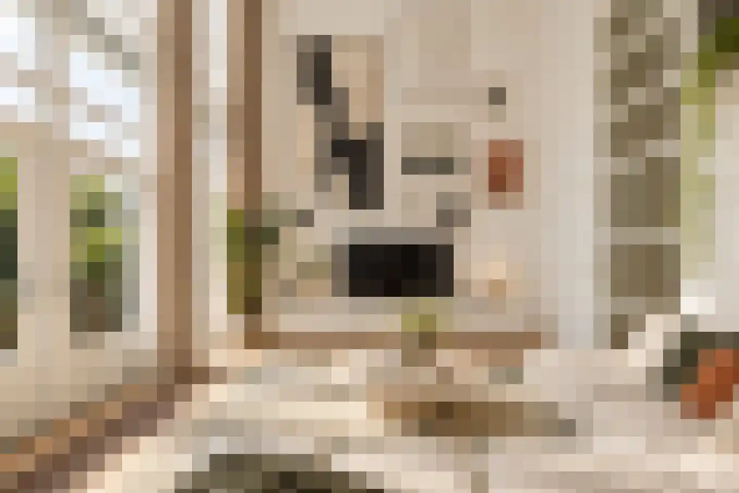 Rokadestraat 14 Utrecht thumbnail 13